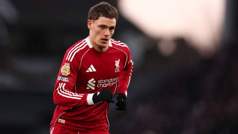 The real reason why Florian Wirtz&rsquo;s goal against Fulham was allowed - Ảnh 2