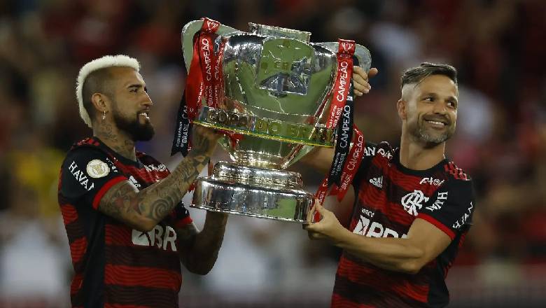 How many professional soccer teams are there in the world? - Ảnh 3